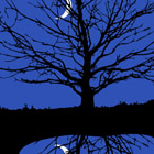 moon-pool